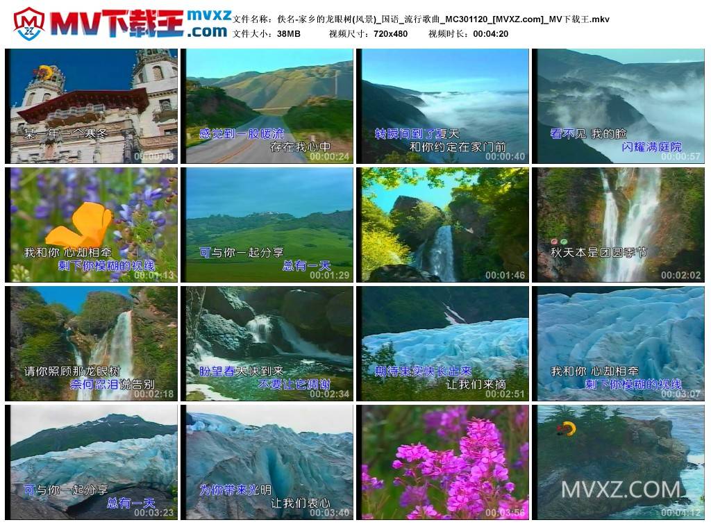 佚名-家乡的龙眼树(风景)_国语_流行歌曲_MC301120